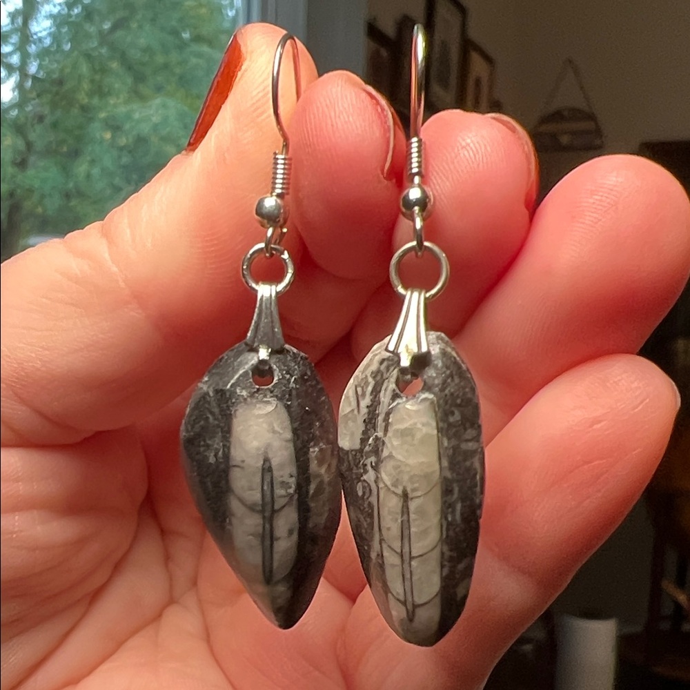 Othoceras Fossil Claw Style Silver Tone Dangle Earrings